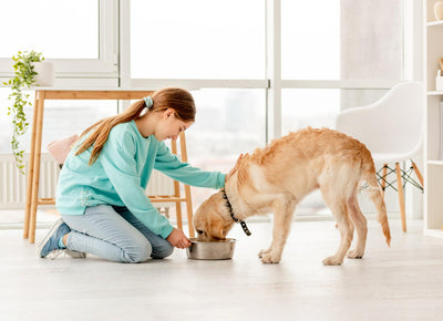 Feeding Fido With Love