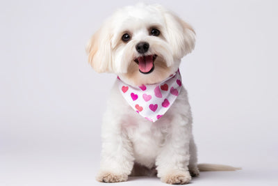 5 Doggie Bandana Decoration Ideas