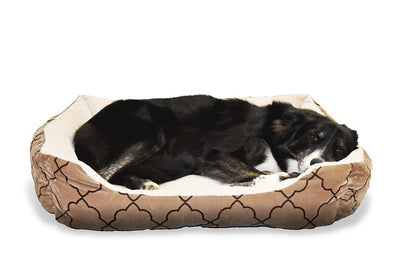 How to Get Your Dog to Sleep in Their Own Bed