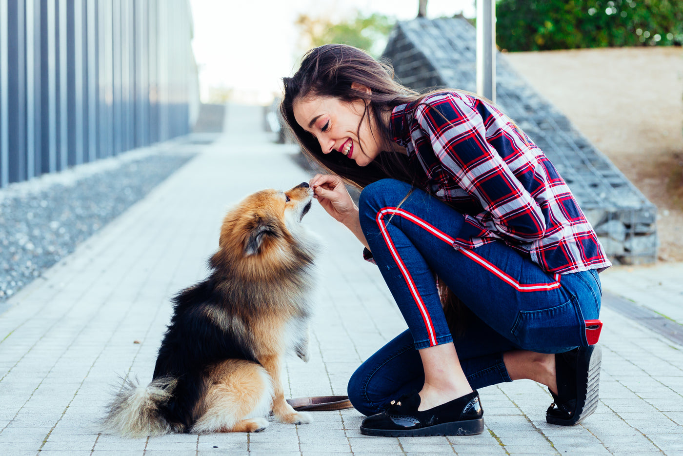 TURPIT banner displaying woman kneeling down to reward her dog during training