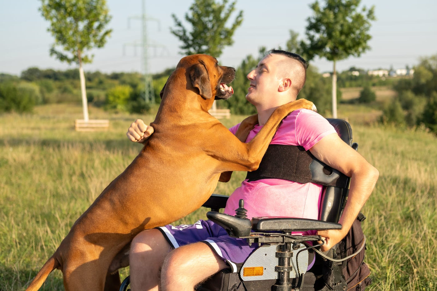 TURPIT banner displaying handicap man in wheelchair with large dog standing and hugging him