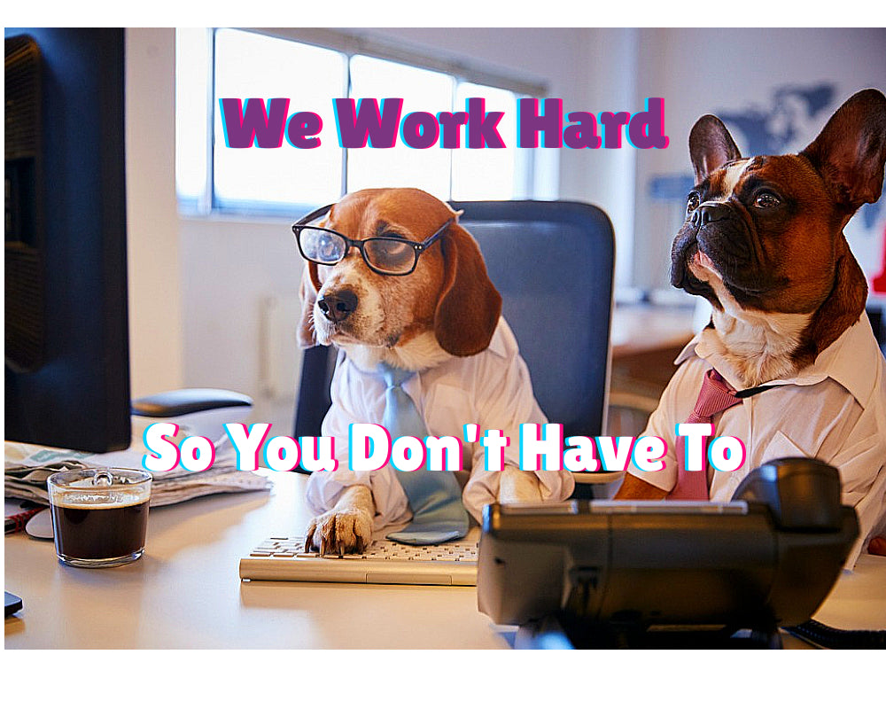 TURPIT banner displaying two dogs working in front of a computer screen