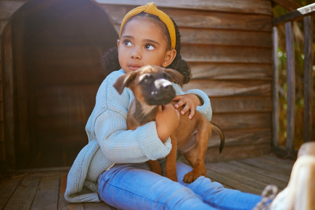 TURPIT banner displaying little girl holding a small dog